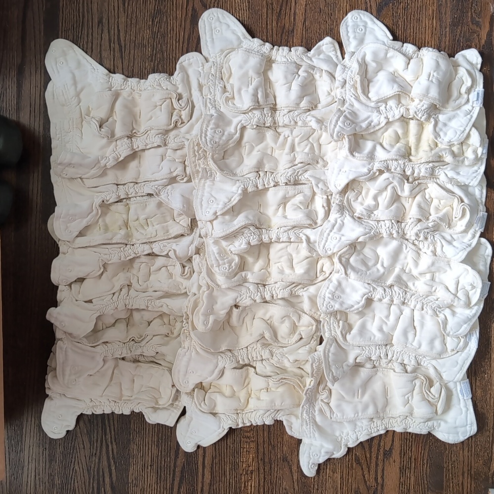 Lot of 18 Esembly Organic Cotton cloth diapers size 1